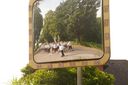 DSC02310~0.JPG